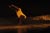 Spectacle Duo, Asseta Zoungrana