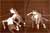 Spectacle Duo, Asseta Zoungrana