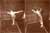 Spectacle Duo, Asseta Zoungrana